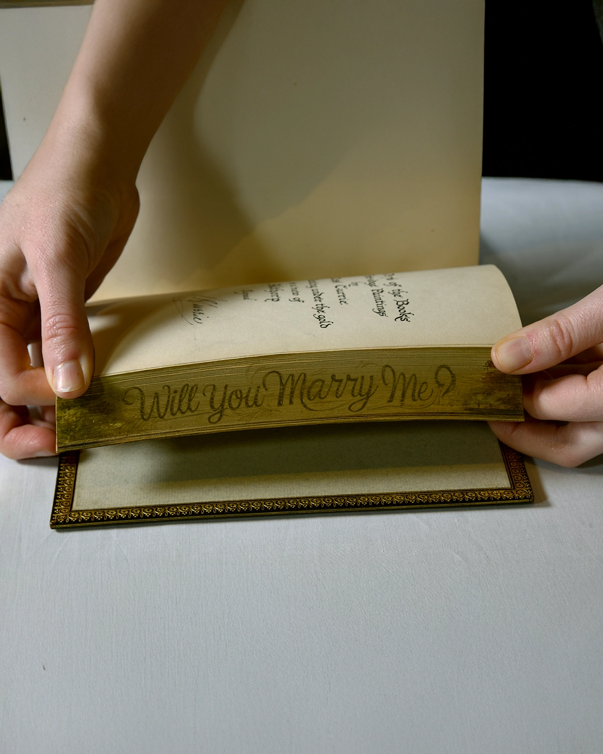 Illustrated proposal scene with custom message